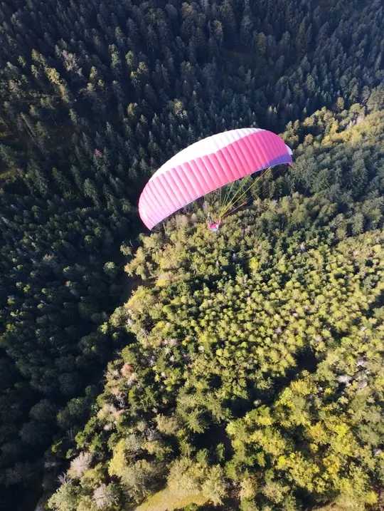 Parapente Advance Alpha : Aile Advance Alpha 7 de 24 m². Aile Advance Alpha 7 de 24 m²